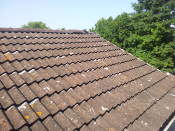 Roofing Gallery-02-04